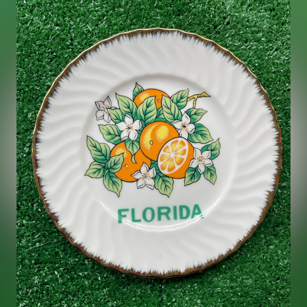 🍊Vintage Florida Souvenir State Plate